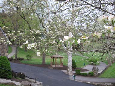 Weddings Country Club Wedding Reception And Outside Ceremony Site